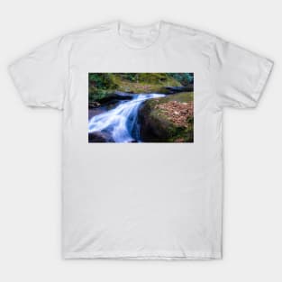 Roaring Fork Creek Falls T-Shirt